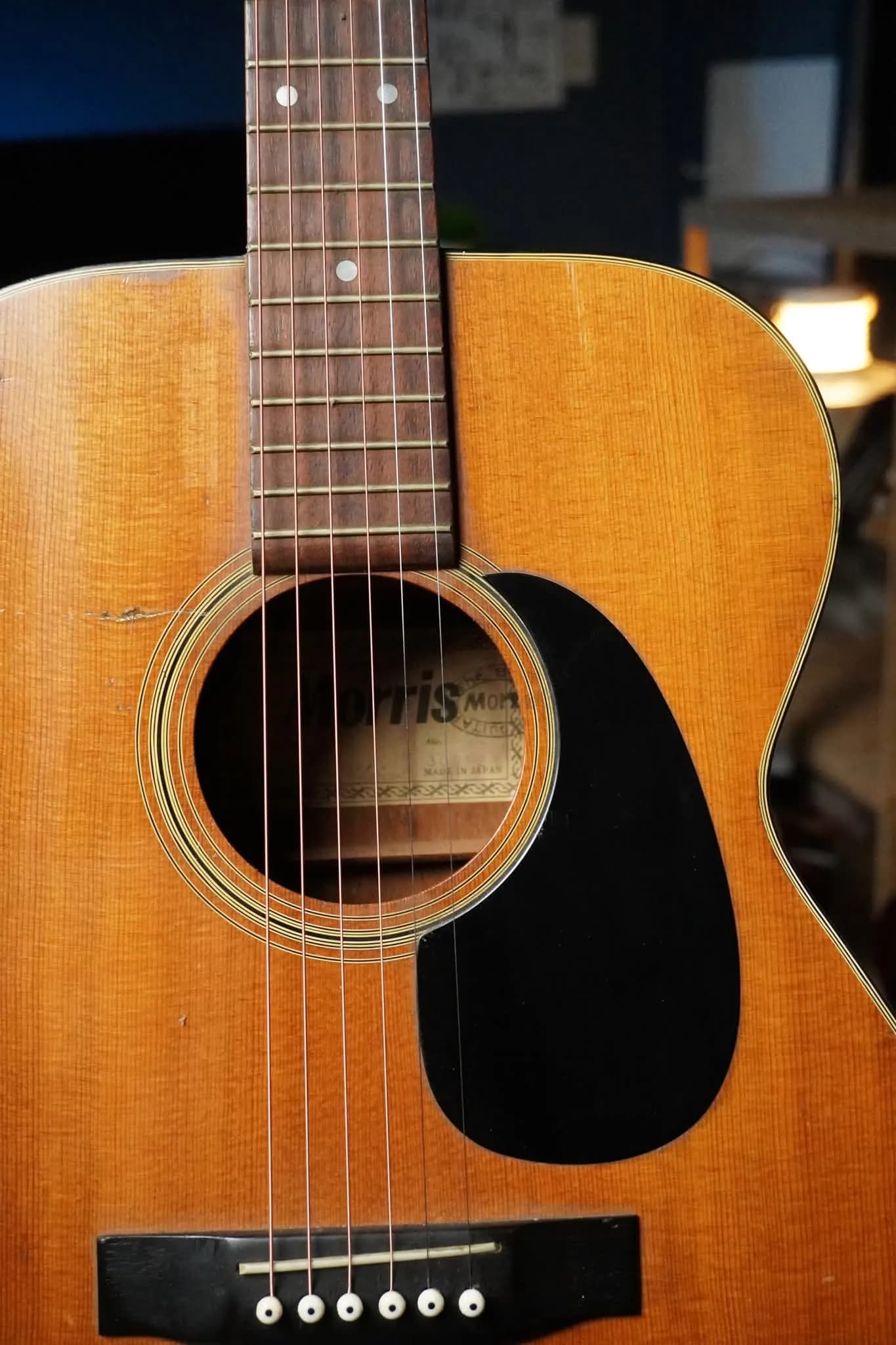 Guitar Acoustic Morris F10